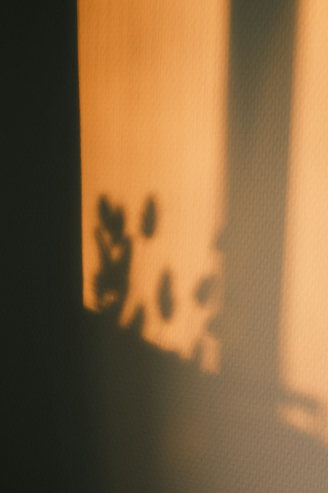 织女看了都点赞 传承非遗才是七夕的“躲藏大招”｜我的节节·七夕篇